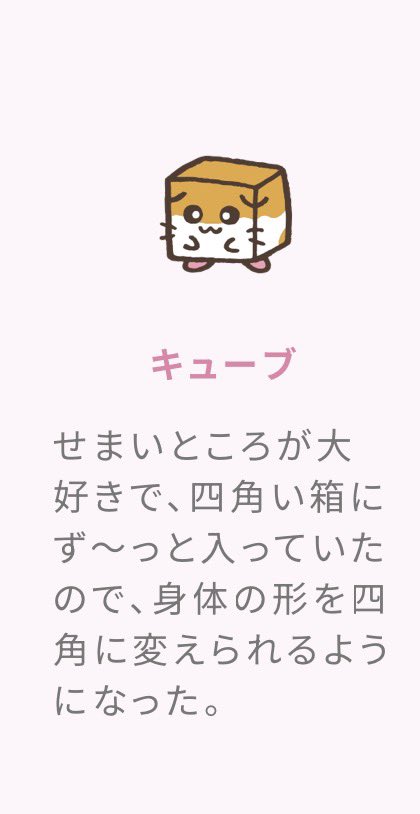 zi_end_of_life's tweet photo. 何回見てもキューブやばすぎて愛おしい https://t.co/r10TTZcucC