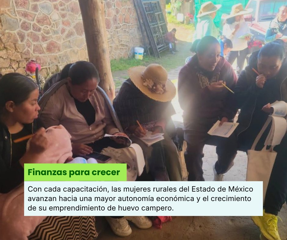 EducampoMX's tweet photo. 🌱 Productoras de huevo de Villa Victoria, San Felipe del Progreso, Temascalcingo y San José del Rincón se capacitaron en presupuesto y ahorro para fortalecer su autonomía económica.

Gracias a Nacional Monte de Piedad.

#Educampo #EnProdelaMujer #MujeresRurales #EstadodeMéxico https://t.co/5IXPKkgdYb