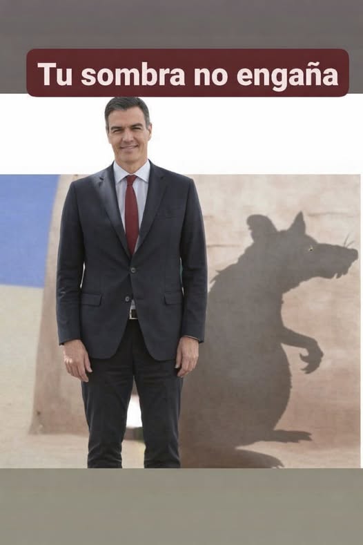 EsRebeca2's tweet photo. @sanchezcastejon https://t.co/L16si8ecea