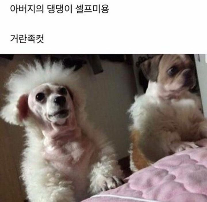 나를믿어.. tweet media
