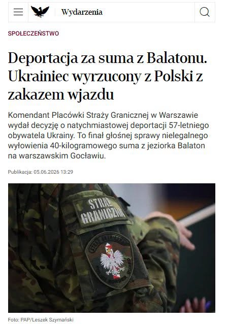 Krzysztof W. Panek tweet media
