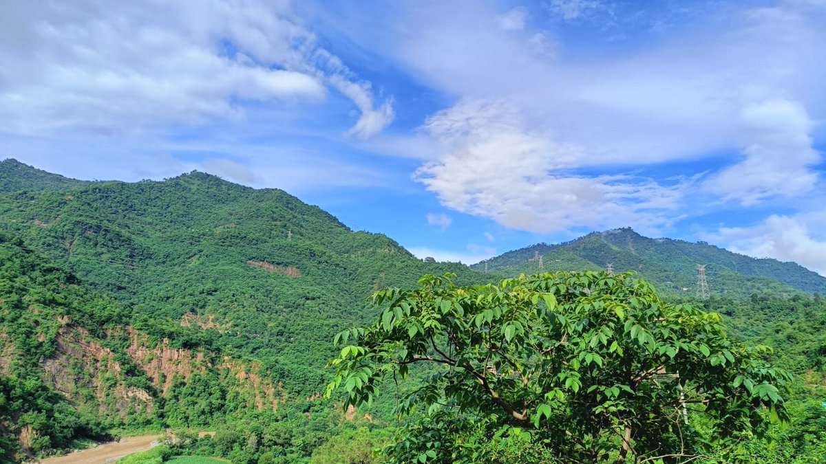 ExploredandLost's tweet photo. विश्व पर्यावरण दिवस 🌿🌴🌱🌳

#InternationalWorldEnvironmantLDay 
#LostWithSumit https://t.co/SXEKVE7mlX