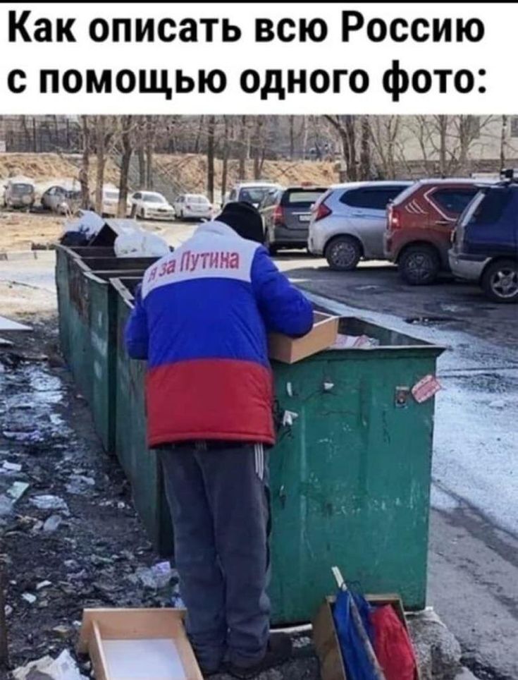 Василий Перцев tweet media
