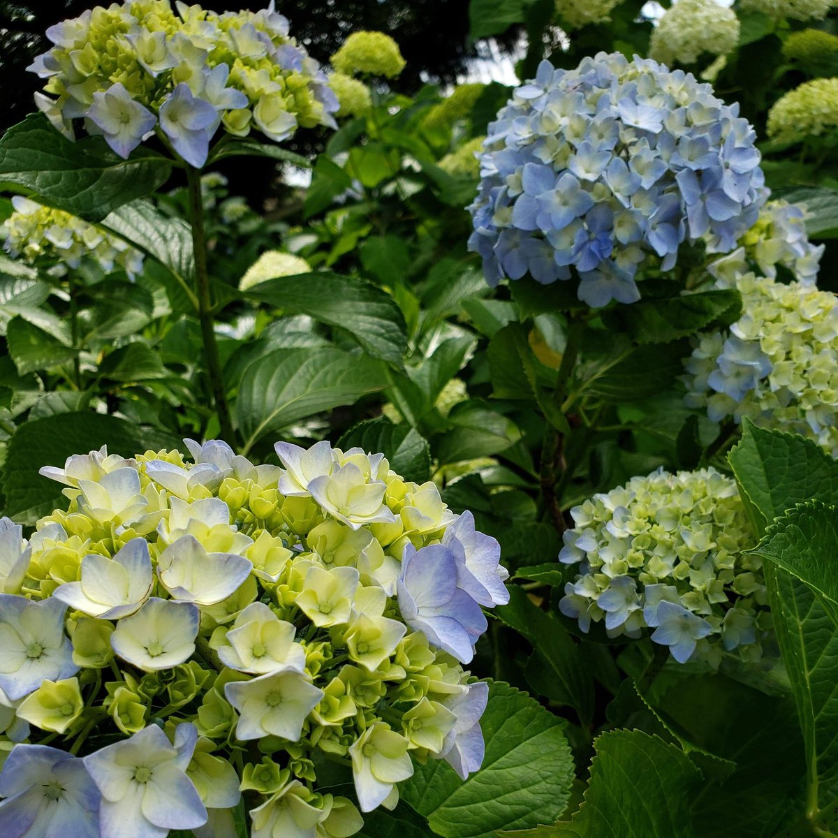e2250v's tweet photo. しごおわ
今日も1日お疲れ様でした https://t.co/Y88JwK9Xle