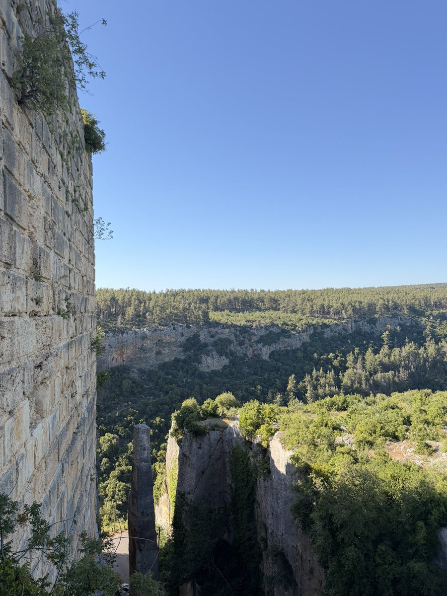 Osa963's tweet photo. سوريا 🇸🇾🌿 https://t.co/IiBeoXj2RM