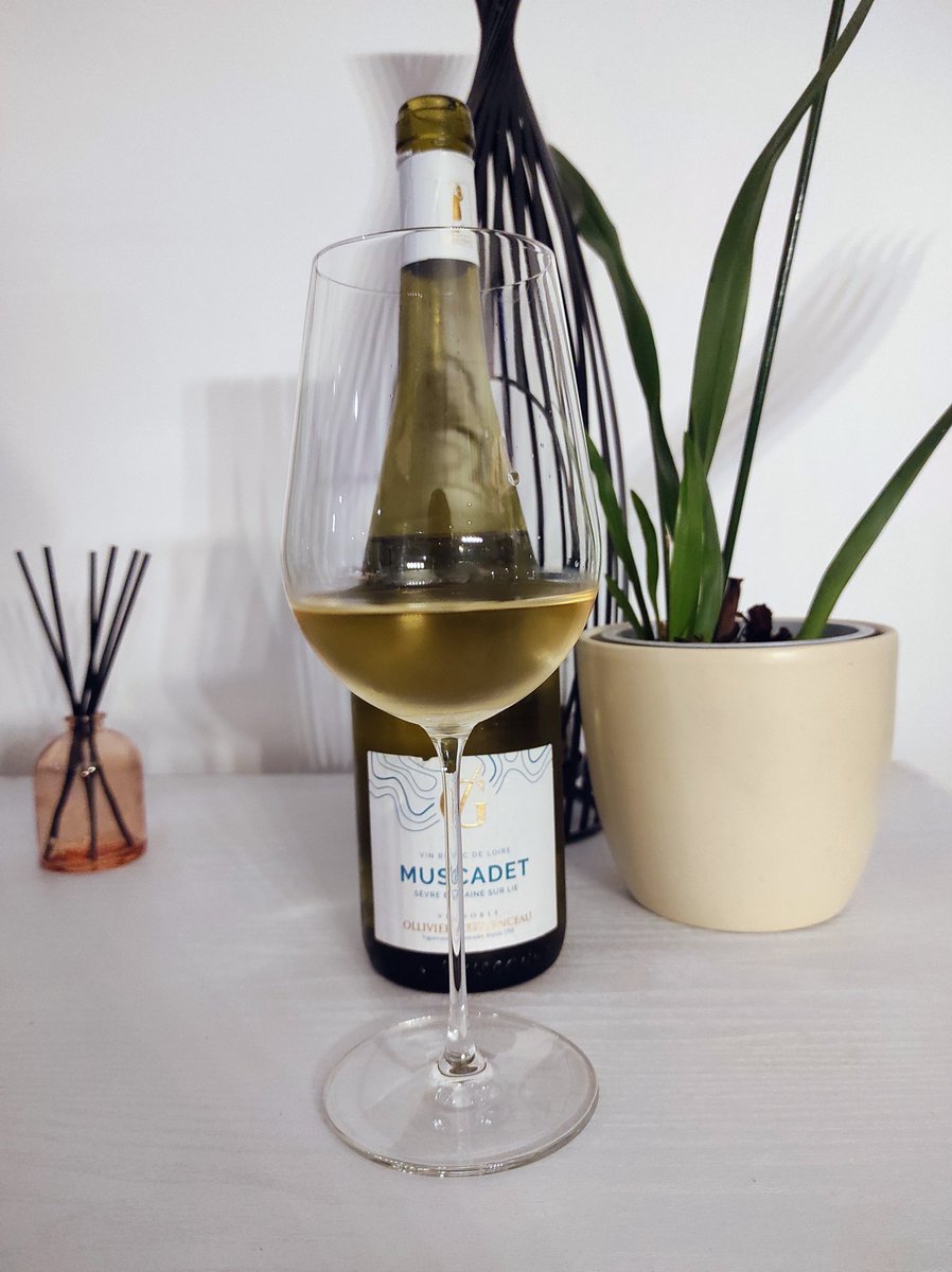 les_ugo's tweet photo. Un Muscadet qui sent l’embrun, le citron frais et les soirées qui finissent trop tard. Le Domaine de la Grenaudière, c’est la preuve qu’un blanc peut être à la fois tendu, vivant et ultra gourmand.Tu connais vraiment le Muscadet… ou pas encore ?
https://t.co/SOM5bP5OgV https://t.co/tWKe7ADvue