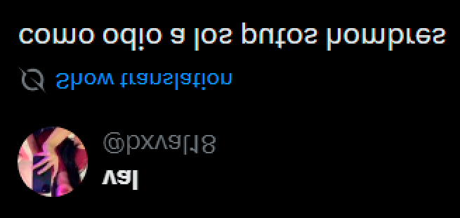 El Dofu tweet media