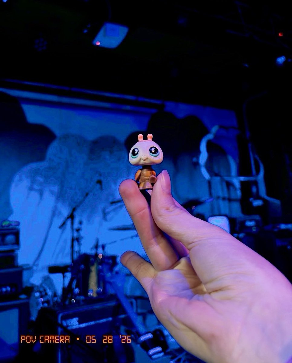 RustyTweets27's tweet photo. Ladybug yearns for the mosh pit.

@Pdaddynthehyena @RemoDrive https://t.co/VMENXM5Of3