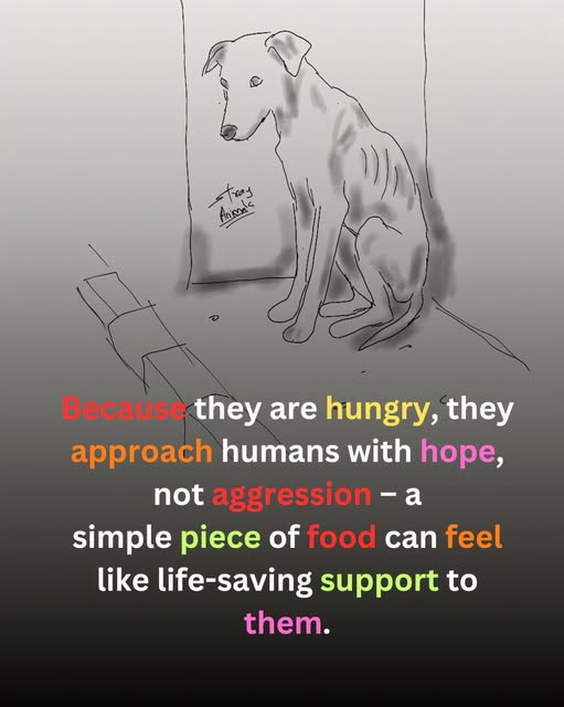 ZientekMary's tweet photo. https://t.co/E711Vax9d5
