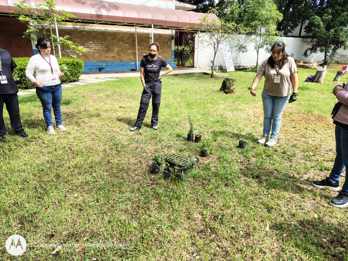 IsssteZonaSur's tweet photo. ...Por lo que personal médico, administrativo y de enfermería de la Subdelegacion médica se sumo, sembrando un huerto urbano en las instalaciones
#ISSSTEZONASUR #MartíBatres #rockavilaissste #nitzysuarez #carmenvillafaña https://t.co/QY5GLyD9oP