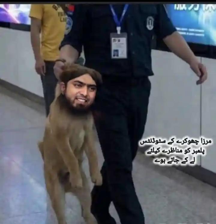 سیدزادی ایمن عطاریہ رضویہ tweet media