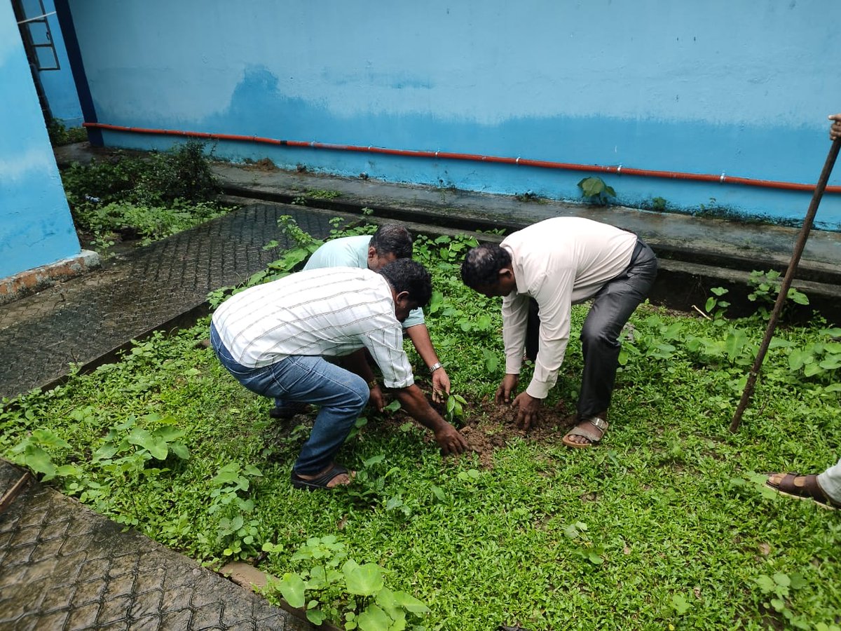 DeptofFishANI's tweet photo. Staff of Zonal Fisheries Office, South Andaman planted saplings on World Environment Day, 2026 https://t.co/qiFh4AF2Dl