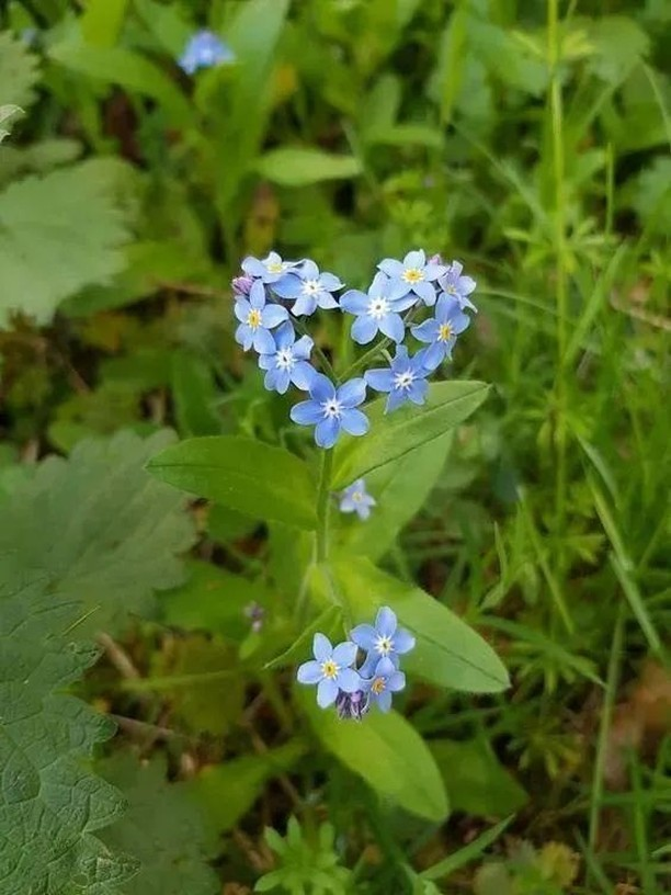 artindetails's tweet photo. nature says <3 https://t.co/kf9DuoSMcm
