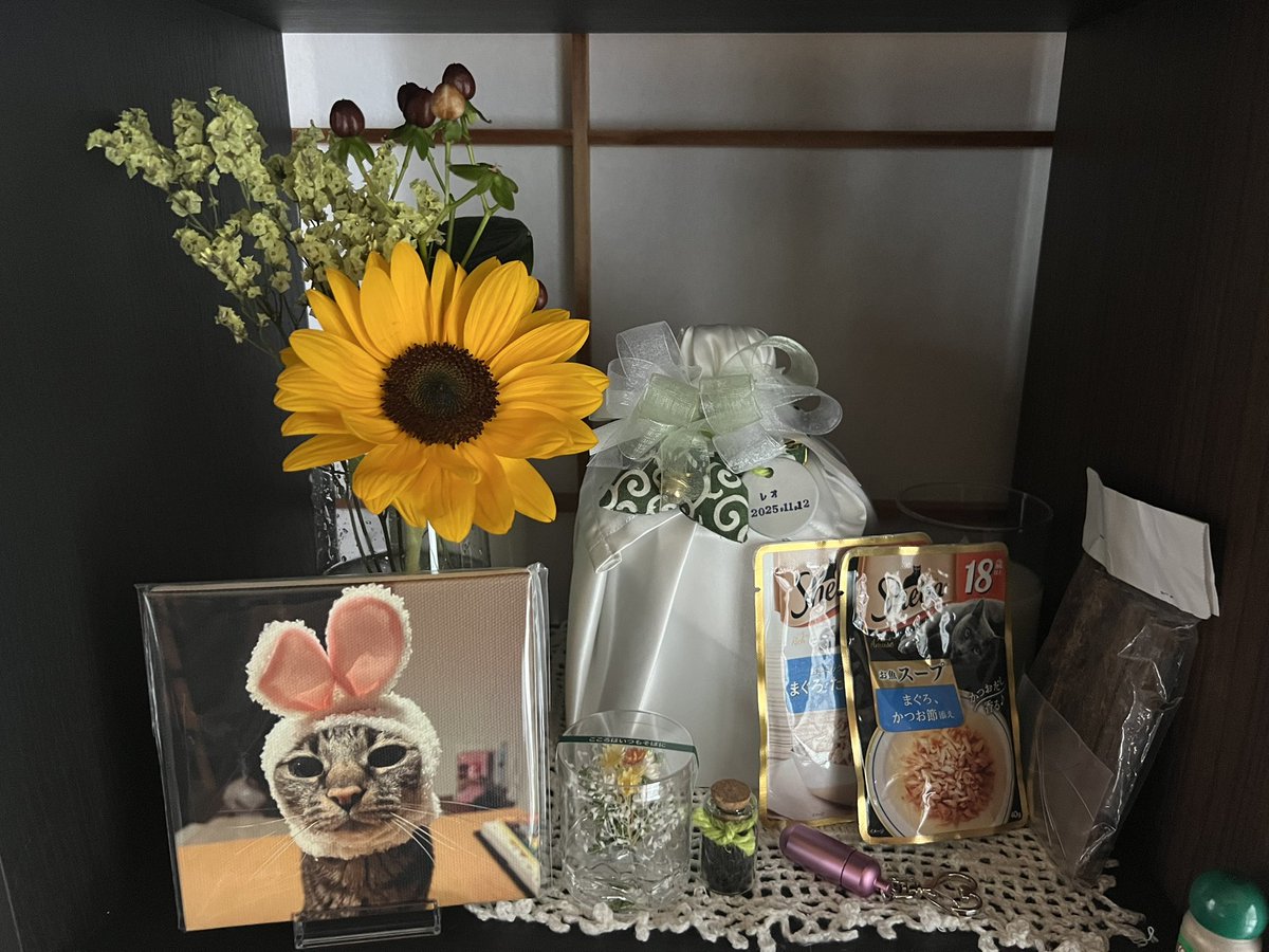 vomomokoco's tweet photo. 夏らしくなってきたからレオくんにはひまわり🌻を◎
レオくんのこの写真が気に入りすぎてずっとこれ。
レオくん、かわいいなぁ。

なっちゃんのこと見守っててや(*´-`)
いつでも帰っておいで◎

#レオくん　#虹組 https://t.co/0GSYGapnhJ