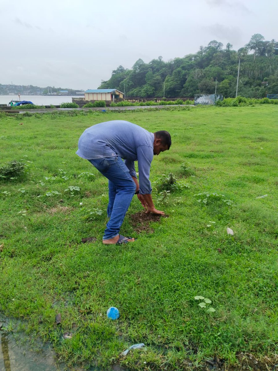 DeptofFishANI's tweet photo. Staff of Fish landing Centre, Panighat planted saplings on the occasion of World Environment Day, 2026 https://t.co/E1SHtOg39j
