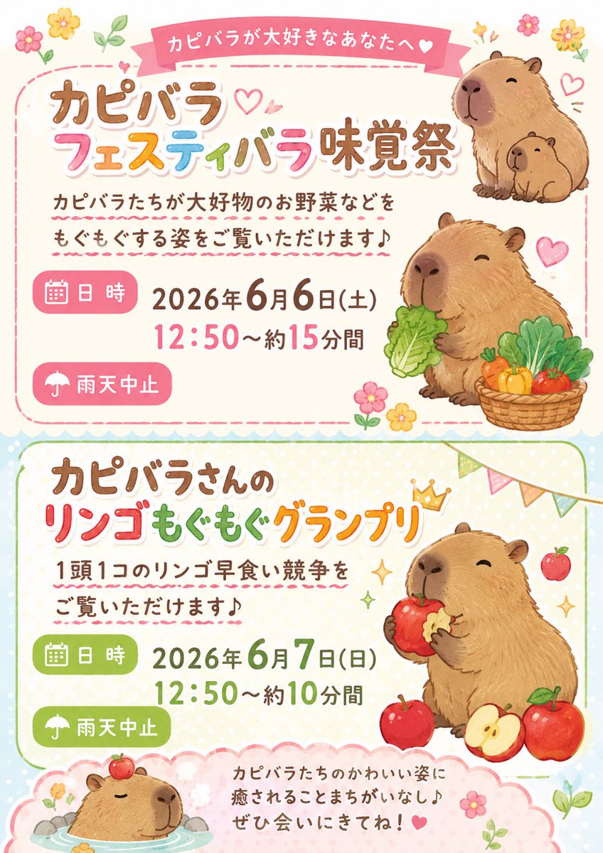 capybara5179's tweet photo. イベント前日でも変わらず仕事。今から準備して出発しまーす🚗みんなも、ハーベストの丘へ行こう☺️✨
#カピバラ
#capybara
#ハーベストの丘
#カピバラフェスティバラ https://t.co/UcDLzjMR8p