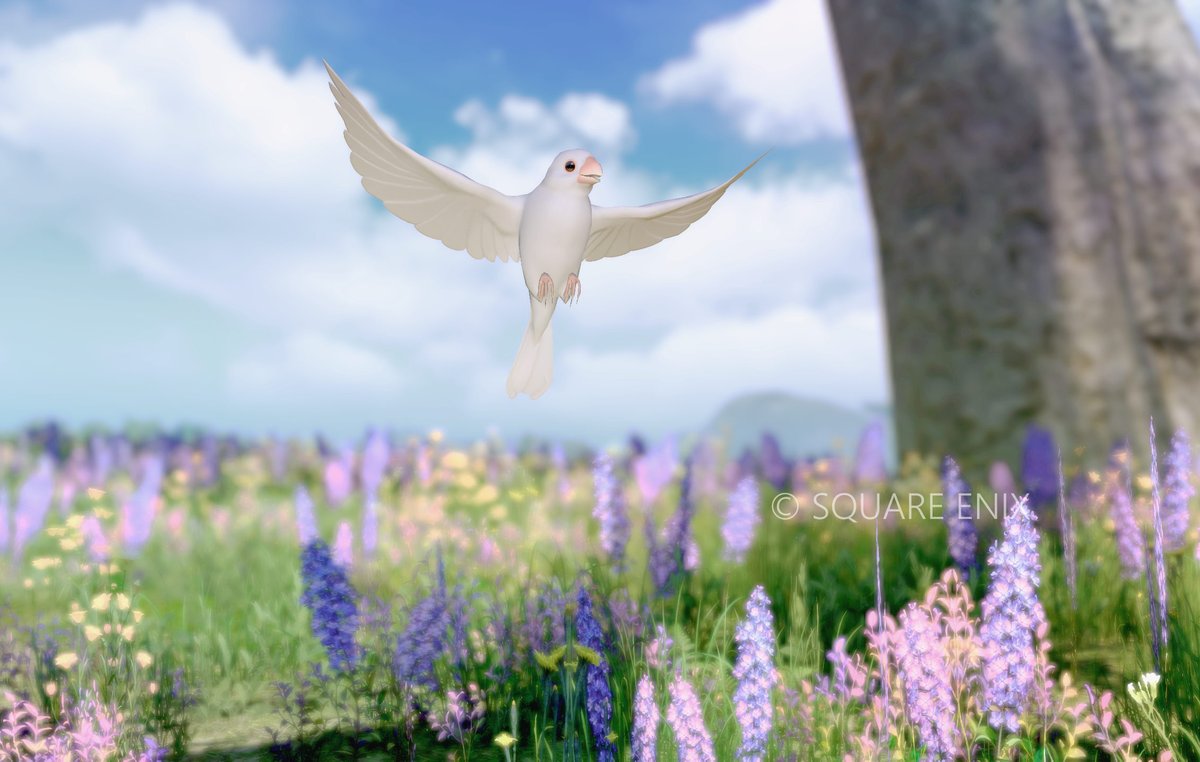 wawanff14's tweet photo. ﾌﾞﾝﾁｮ🐦 https://t.co/IioCbZMDNP