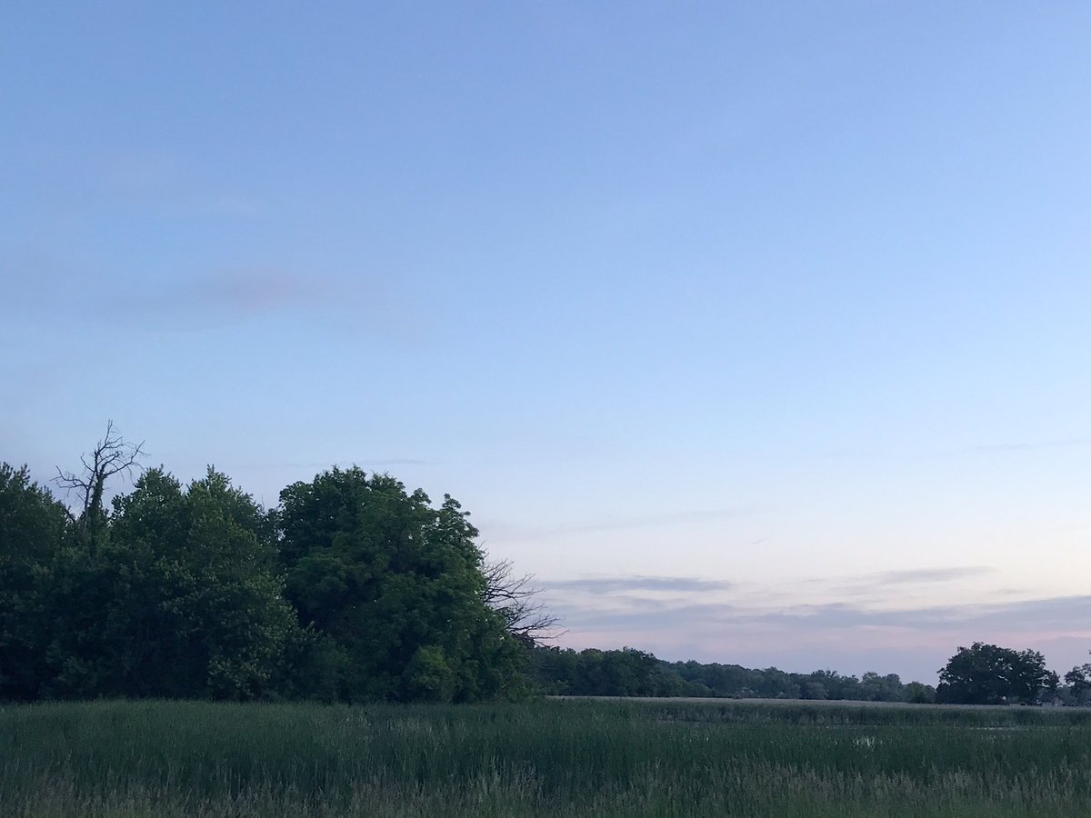 HMariaPhotos's tweet photo. Morning person health walk, Thursday June 4, 2026 💗💗510 am https://t.co/fQpMngb5LC