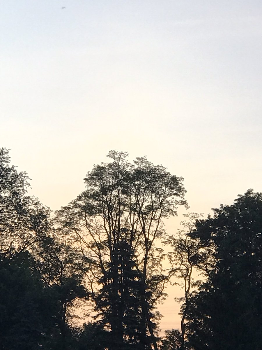 HMariaPhotos's tweet photo. Morning person health walk, Thursday June 4, 2026 💗💗510 am https://t.co/fQpMngb5LC