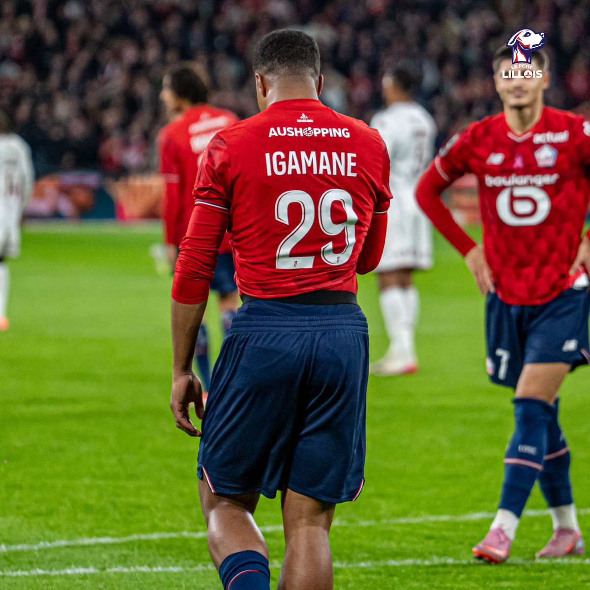 LePetitLillois's tweet photo. 🏋️‍♂️ Selon nos informations, Hamza Igamane va reprendre la course cette semaine et restera au Domaine de Luchin durant la trêve afin de poursuivre sa rééducation ! 💪 https://t.co/QIp8UbmYqA