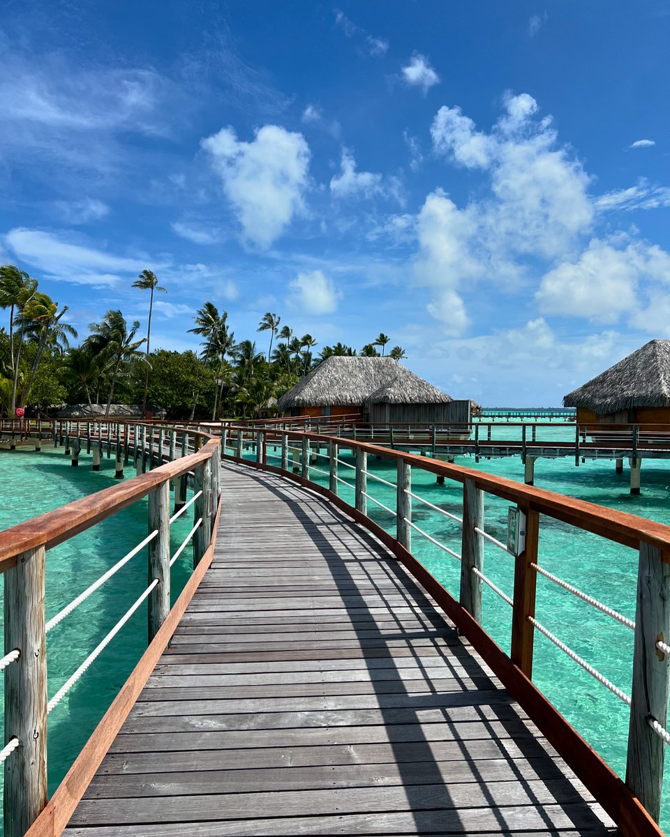TahitiTourismJP's tweet photo. その先にはどんな冒険が待っているのだろう。。。✨  

📸 : @wingszetang, @amoureuxvoyageux, @onairplanemode__, @jyo_shankar

#LoveTahiti #タヒチ大好き https://t.co/oIXzCI9zti
