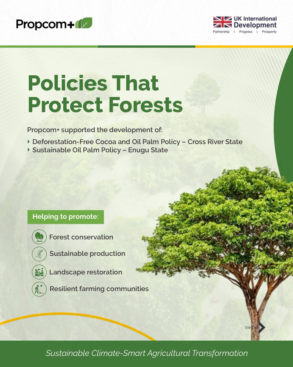 Propcomplus's tweet photo. This #WorldEnvironmentDay, we reflect on how strategic partnerships can help communities thrive while also protecting the environment. We committed to supporting sustainable growth and climate resilience in various ways.
#WorldEnvironmentDay #ClimateAction #SustainableAgriculture https://t.co/fXY84jFU8f