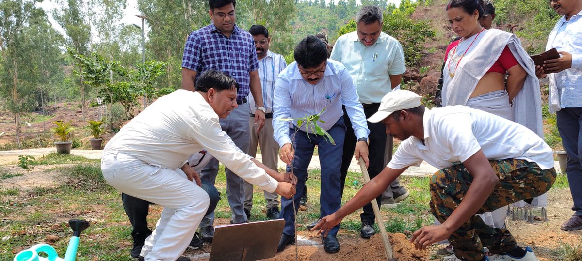 LateharDistrict's tweet photo. विश्व पर्यावरण दिवस के अवसर पर तापा पहाड़ पार्क एवं समाहरणालय परिसर में वृक्षारोपण कर पर्यावरण संरक्षण का संदेश दिया।
"पौधा लगाएं, उसका संरक्षण करें और आने वाली पीढ़ियों के लिए स्वच्छ एवं सुरक्षित पर्यावरण सुनिश्चित करें।"
@JharkhandCMO https://t.co/6nIY2XChOH