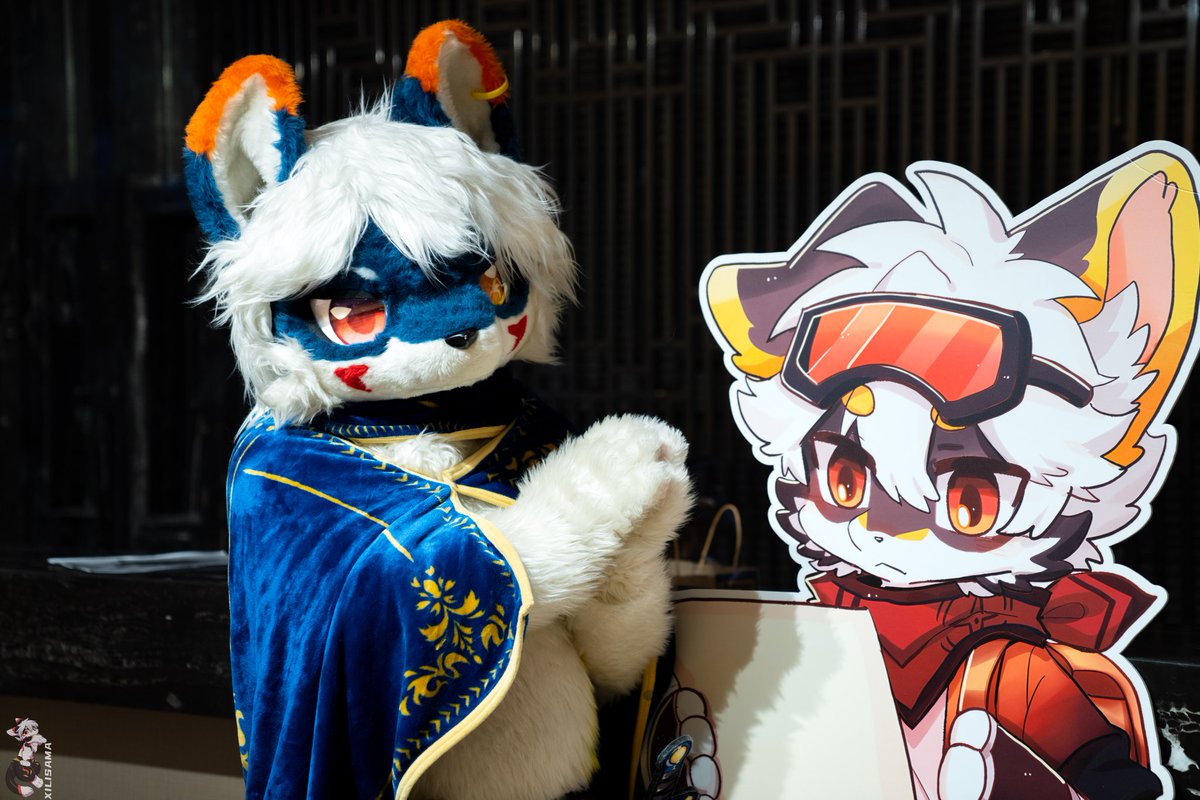 KumiFox's tweet photo. #FursuitEveryday  ///  庫   米 ///
———————————— 🦊
「哎呀哎呀管理员大人，看在我好歹是正经勇者的份上，就稍微行个方便嘛~」
 丨- 『🗡️✨📜 』
📸：@baimoe https://t.co/gELd9LULs8