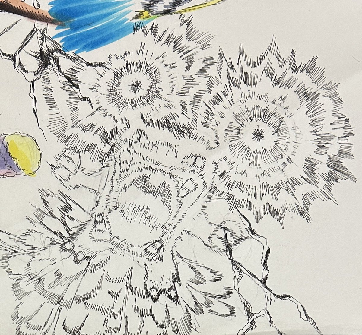 TJ6aFAChQ3h4Fs9's tweet photo. 最近気に入ってるポケモンの線画
#ポケモン https://t.co/LeGGu0cJsR
