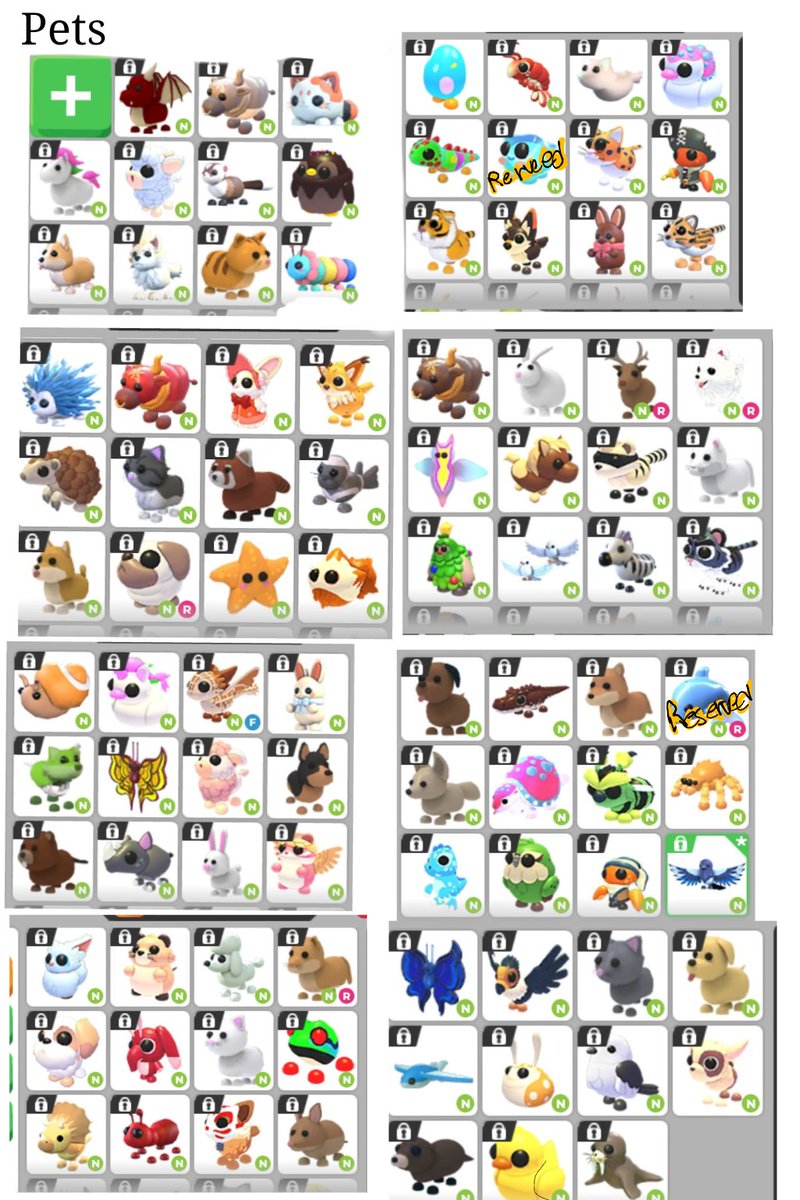alzanix's tweet photo. (STILL) seling adm neon pets and pw for robux and gcash (i mostly want gcash oke)

some are reserved and some are sold
 
(ngf but would love to use a trusted mm/mw or must have a ton of proven proof and is confirmed by others trusted) https://t.co/lRTENyrLSJ