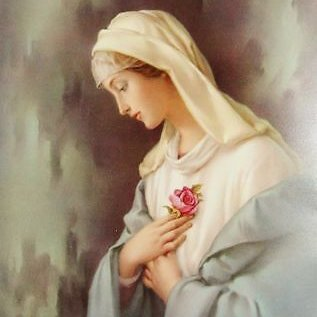 jainelsonwinck's tweet photo. O Mary,     
Mystical rose,     
pray for us! https://t.co/LVB6DbydIF