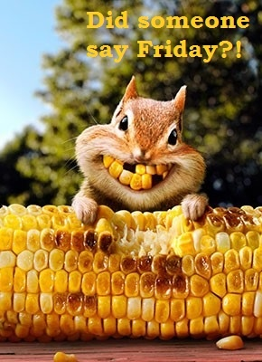 tharbin318's tweet photo. @GSmokesweed1 Good morning Grandma!!!! Happy Friday! I hope you have a great day!!! https://t.co/n1pJjM7ZX3