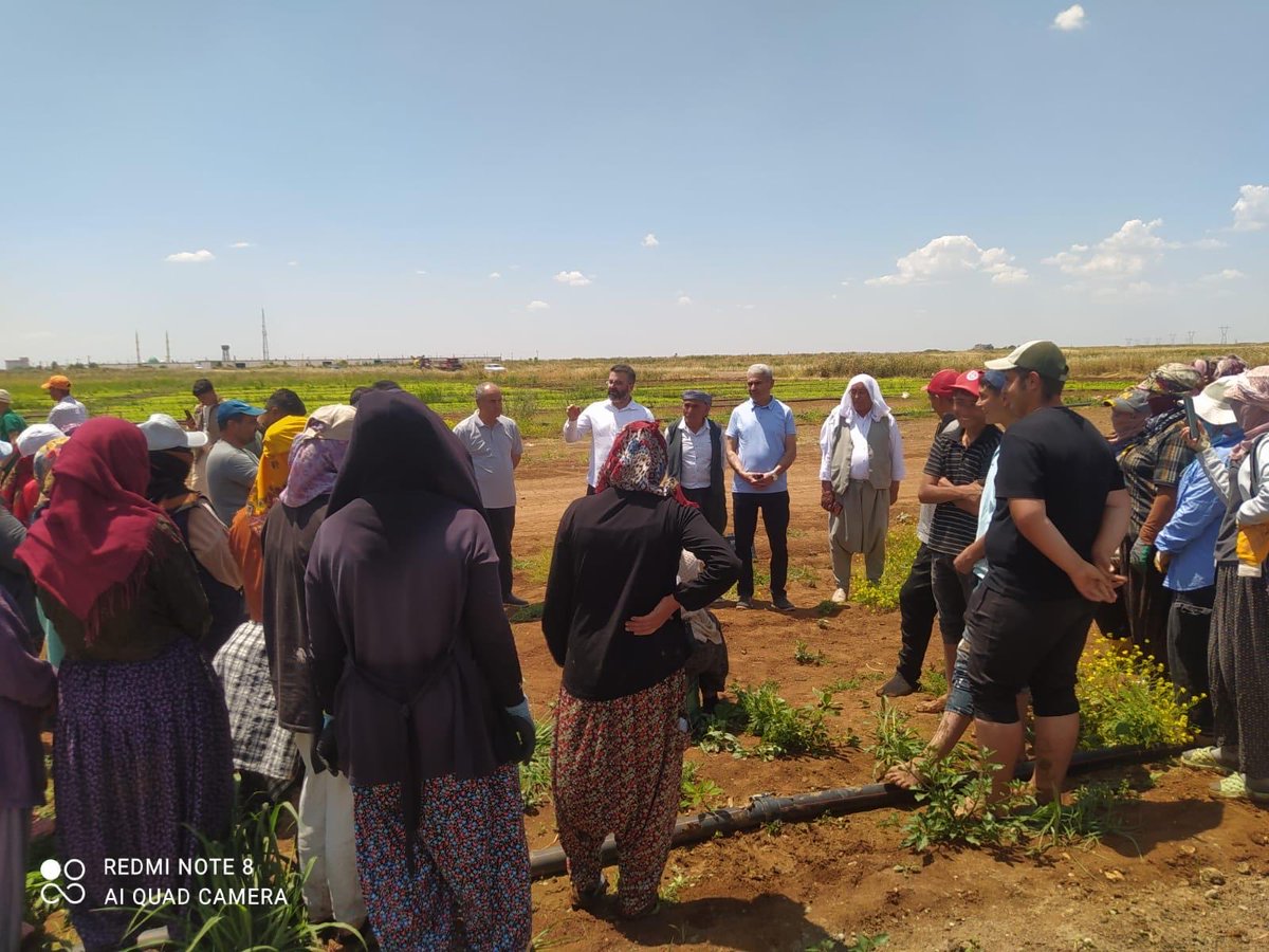 demmardin's tweet photo. Dem parti Kızıltepe ilçe örgütümüz ve il örgütümüz Kızıltepe ak ziyaret mahalesinde tütün emekçilerine ziyaret ve görüşmeler gerçekleştirildi  görüşmede  çalışma koşuları emeğin karşılığı  ücretlerin ve sağlık hakları sendikal hakları hakında değerlendirmeler yapıldı https://t.co/0q8P1dKr3j