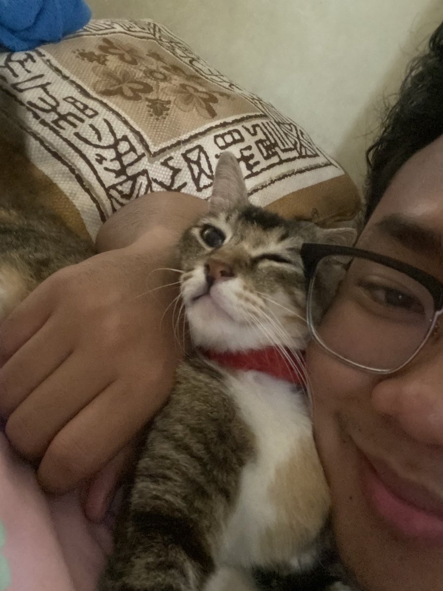 valyrianpole's tweet photo. cuman bisa manja sama meong 😞 https://t.co/26IW3VYFXI