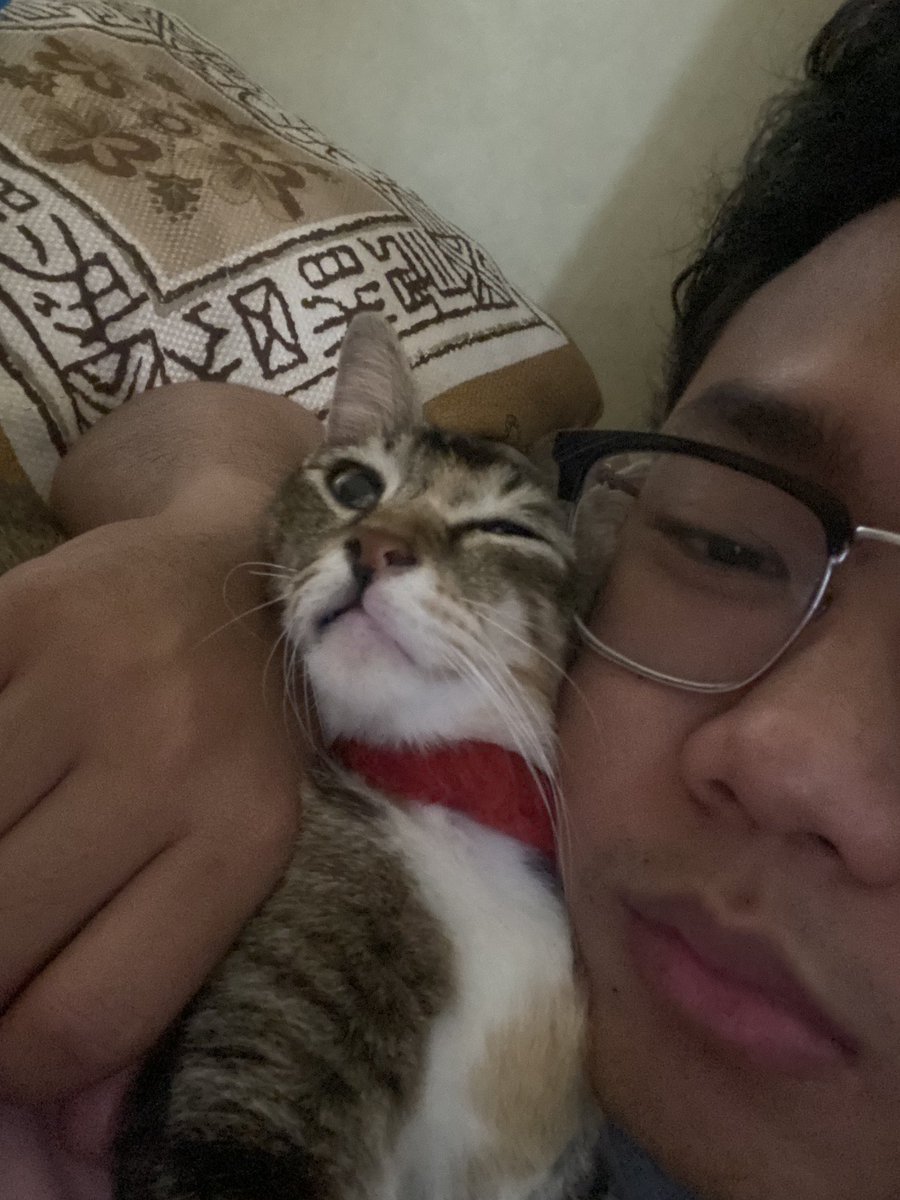 valyrianpole's tweet photo. cuman bisa manja sama meong 😞 https://t.co/26IW3VYFXI