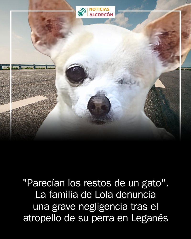 AlcorconEdOn's tweet photo. justiciaparalolita Es el grito de ayuda que su familia quiere que llegue a todo Leganés https://t.co/Paf436vvVu https://t.co/0S75cfx3RD
