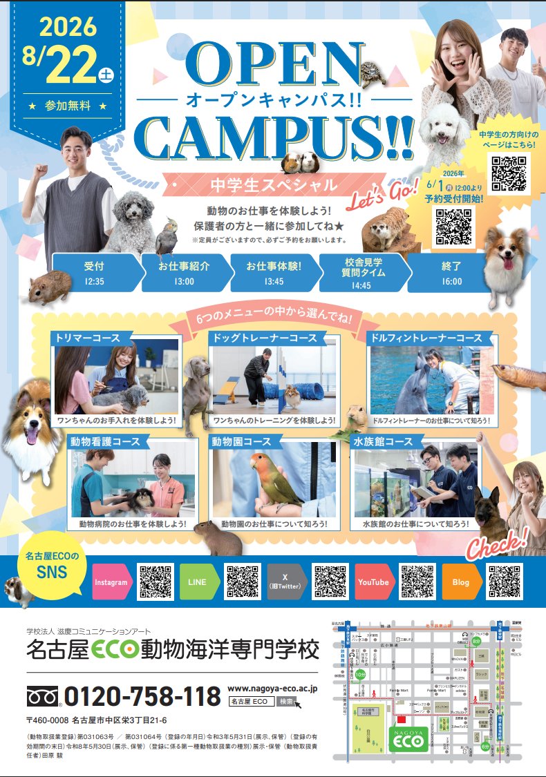 NCA_ECO's tweet photo. 中学生向けオープンキャンパス開催！

✅トリマー
✅ドッグトレーナー
✅ドルフィントレーナー
✅動物病院
✅動物園
✅水族館
6つのメニューから選んでお仕事体験✨

📅8月22日（土）
📍名古屋ECO動物海洋専門学校
⬇️申し込みはこちら⬇️
https://t.co/aoc84RkmbI

 #中学生 #オープンキャンパス https://t.co/U0219lfaRs
