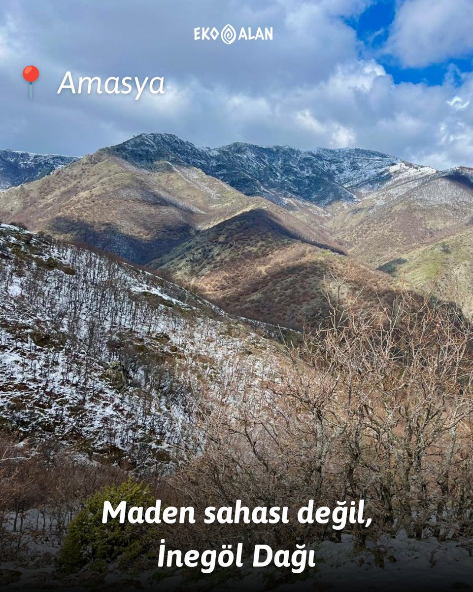 EkoAlan_'s tweet photo. Perşembe Yaylası, İnegöl Dağı, Kazdağları, Bozcaarmut Göleti, Sekü Köyü ve Dereköy Yaylası ve daha nicesi… Buralar aslında birer maden sahası değil; ormanları, dereleri, yaylaları, yaban hayatı ve kültürel değerleriyle yaşam alanlarıdır.

Ancak bugün bu alanların hepsi maden projelerinin tehdidi altında.

5 Haziran Dünya Çevre Günü’nde bir kez daha hatırlatıyoruz: Yaşam alanları maden sahası değil, yaşamın kendisi olsun🌿