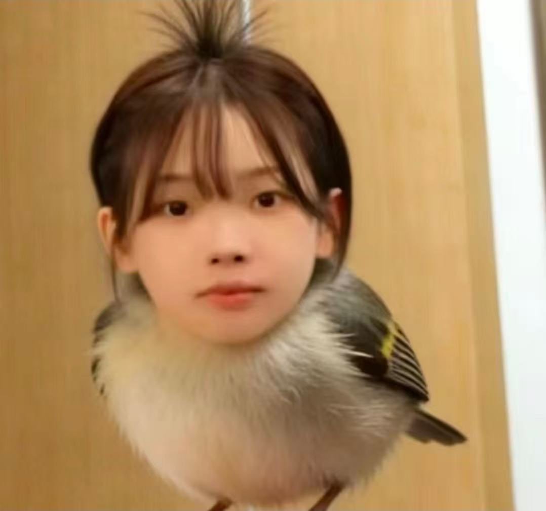 sunshine_080507's tweet photo. karina said she knew about the bird edit memes of her and called it "babo bird/silly bird" 

HELP HAHAHAHAHAHAHAHAHAA https://t.co/FkzxFdg7HC