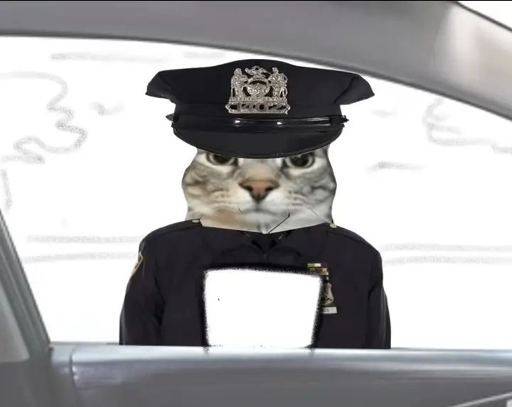 shitpostl0rd's tweet photo. https://t.co/c2iA1wBrK9