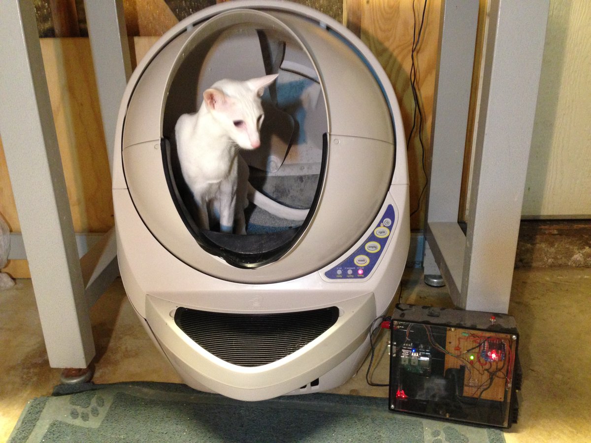 LitterBoxTweets's tweet photo. Litter robot cycle: 17106
Cat enter: 01:44:59AM
Cat exit: 01:46:02AM
Cycle start: 01:57:42AM
Cycle end: 02:00:04AM
Waste drawer level: half full https://t.co/ruEVaq0i1D