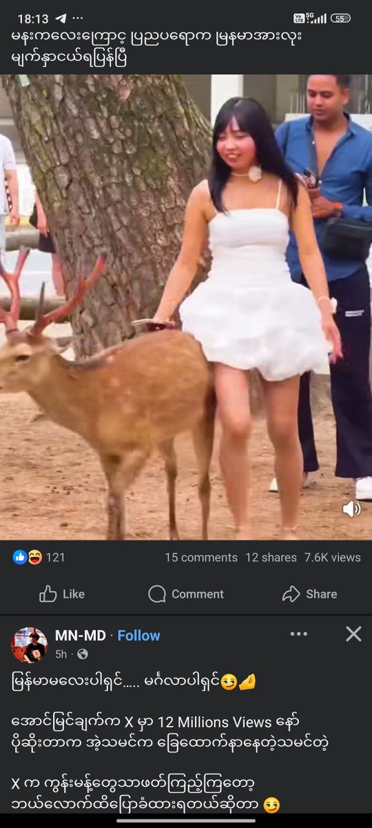xuehuabingyu888's tweet photo. A notice to all...
A few days ago, there was a case of a young girl sat on the deer in Japan. A lot of people think that girl is from China. No, she's from Myanmar.
(1/3) https://t.co/xB3B0OoMzr