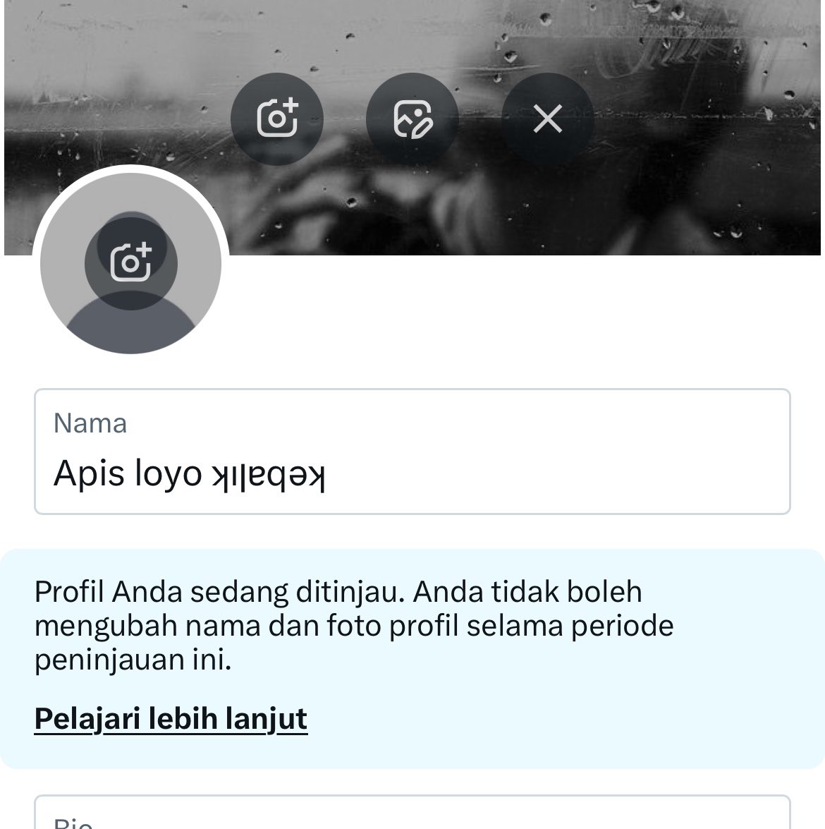 Apis loyo ʞıןɐqǝʞ tweet media