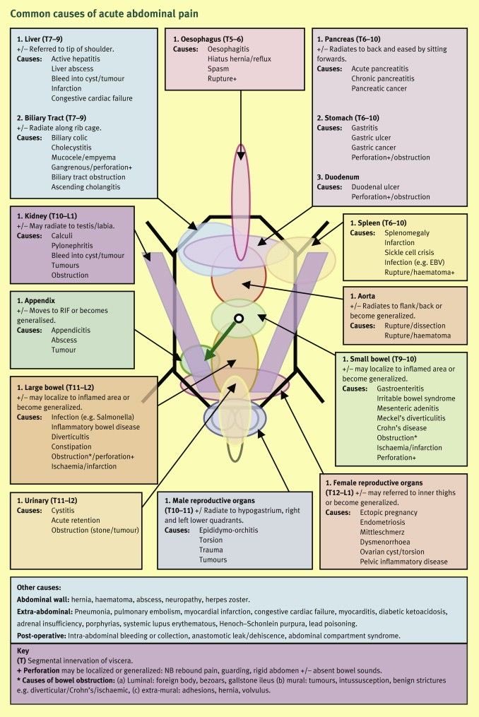 TrackYourHeart's tweet photo. Causes of abdominal pain https://t.co/QpUkgrVB7K