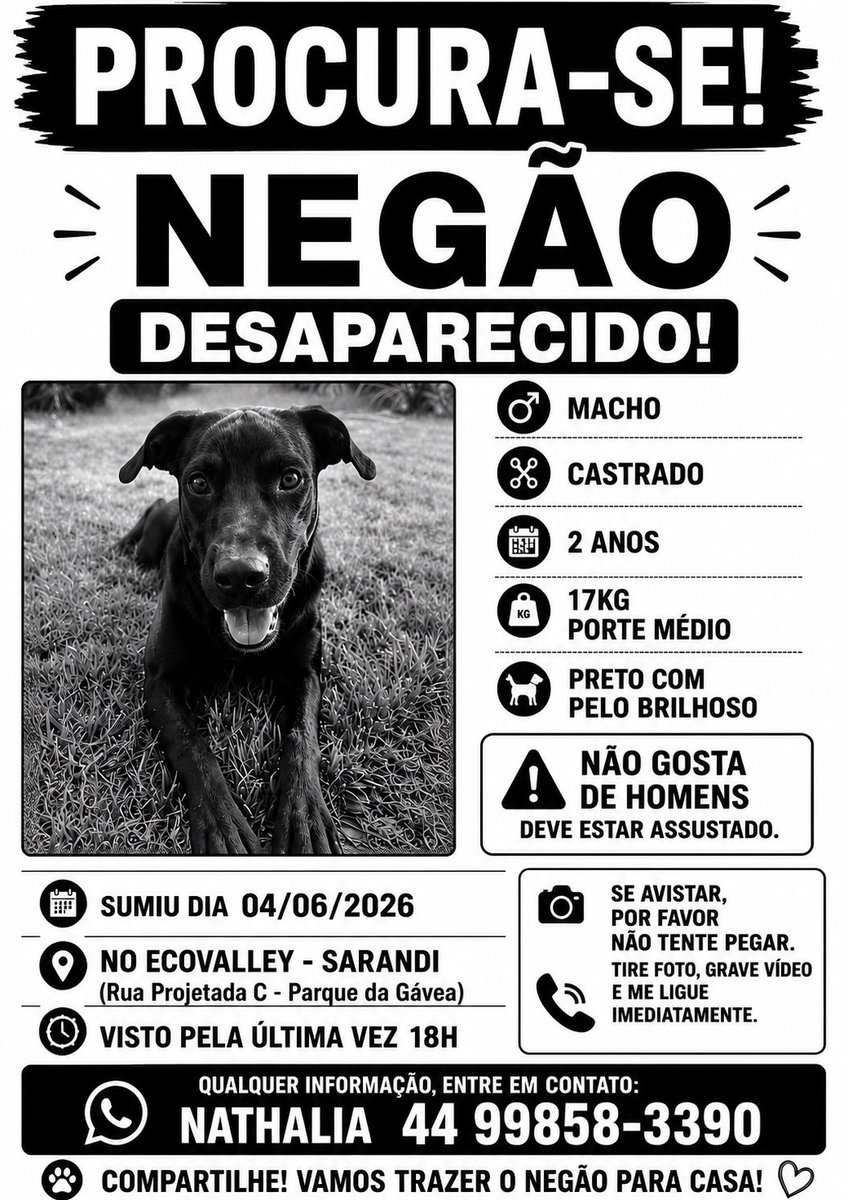 Animais de Maringá tweet media