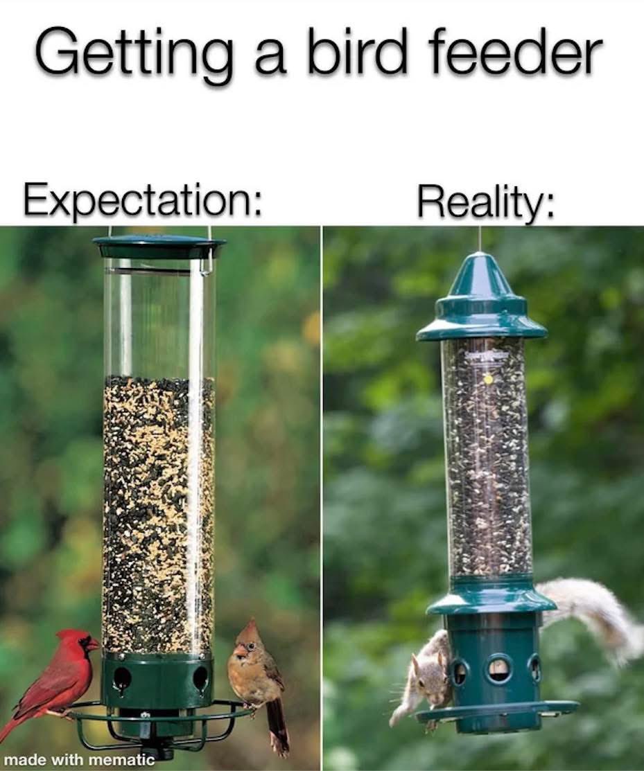 SleepEasyPC's tweet photo. HAPPY FRIDAY!

Isn't that the truth! lol

Have a wonderful weekend!

👉 Contact us for your wildlife proofing needs!

#Guelph #GuelphPestControl #GuelphHomeInspections #SleepEasyPestControl #Fergus #Elora #FergusPestControl #EloraPestControl #CarpenterAnts #BirdMeme https://t.co/9IrBoYb9x1