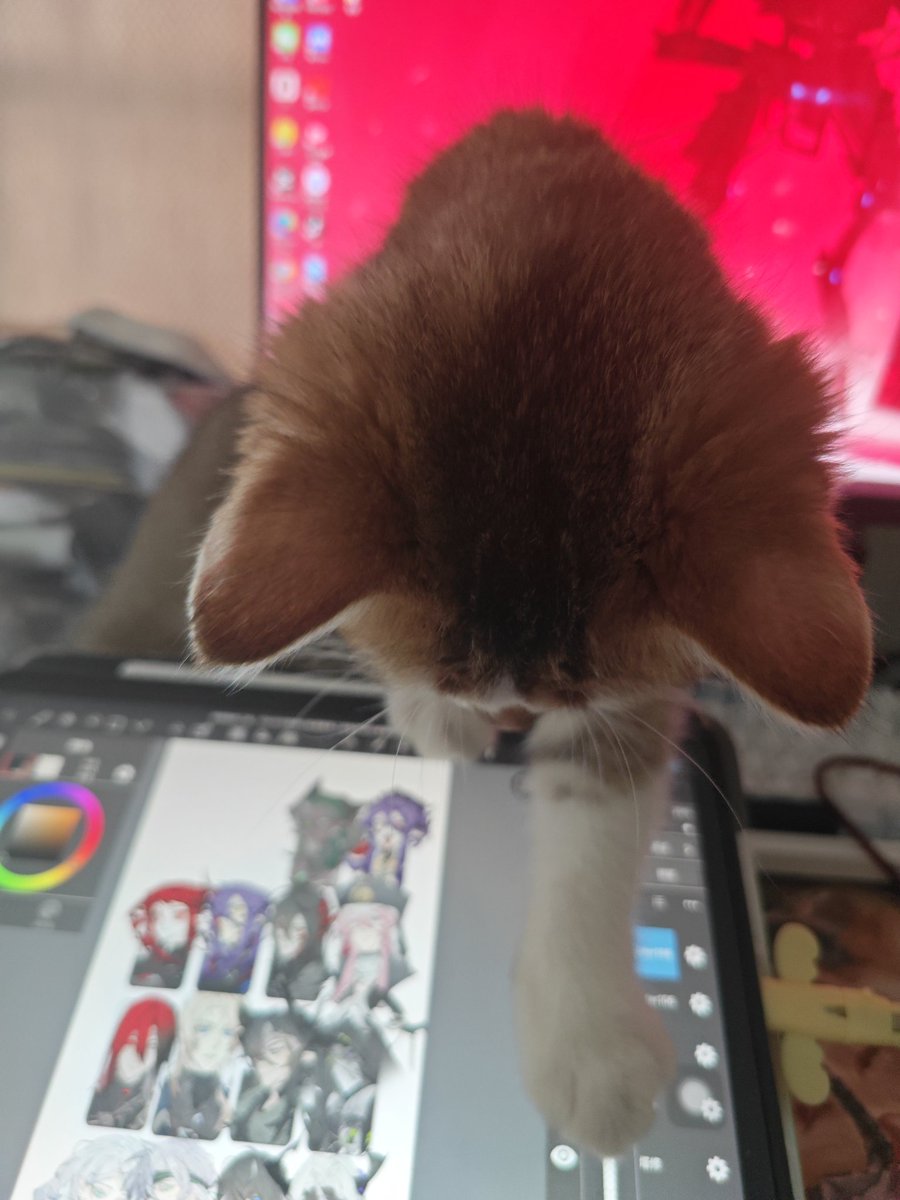 Angser47's tweet photo. 耽误我画画的 https://t.co/7xNpWuGK4n