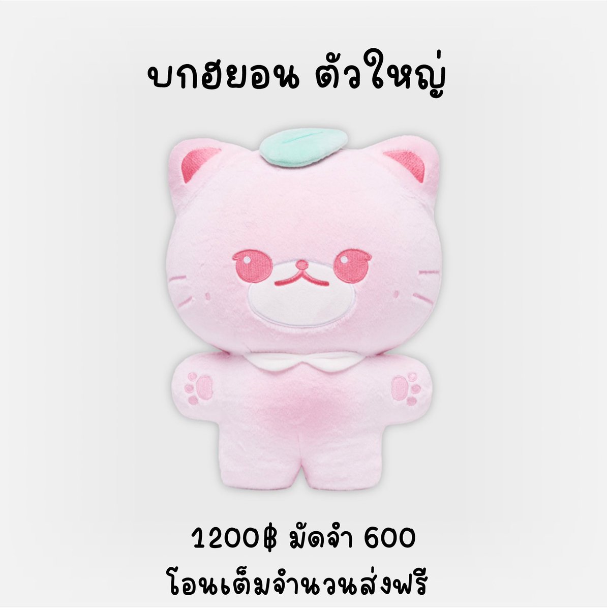 1999millonstar2's tweet photo. รอบพรี JAEHYUN FAN-CON TOUR < Mono >

♡ บกฮยอน ตัวใหญ่ 1200฿ มัดจำ 600
♡ บกฮยอน ตัวเล็ก 390฿ มัดจำ 200 

ค่าส่ง 40฿ หากโอนเต็มจำนวนส่งฟรี 🍑

สนใจสั่งซื้อ : https://t.co/69OK79Locj

❌ ปิดรับ 10/6 ❌

#ตลาดนัดnct #ตลาดนัดnct127 https://t.co/SLuOk7q56Y