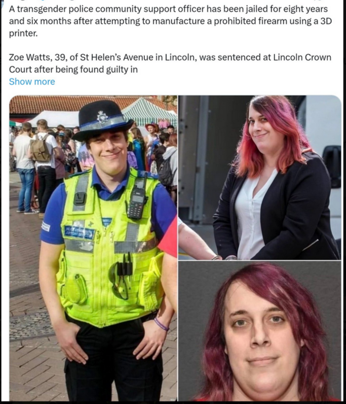 FactPush's tweet photo. @sergeantdixie UK police are despicable. https://t.co/V1lUDsNtkc