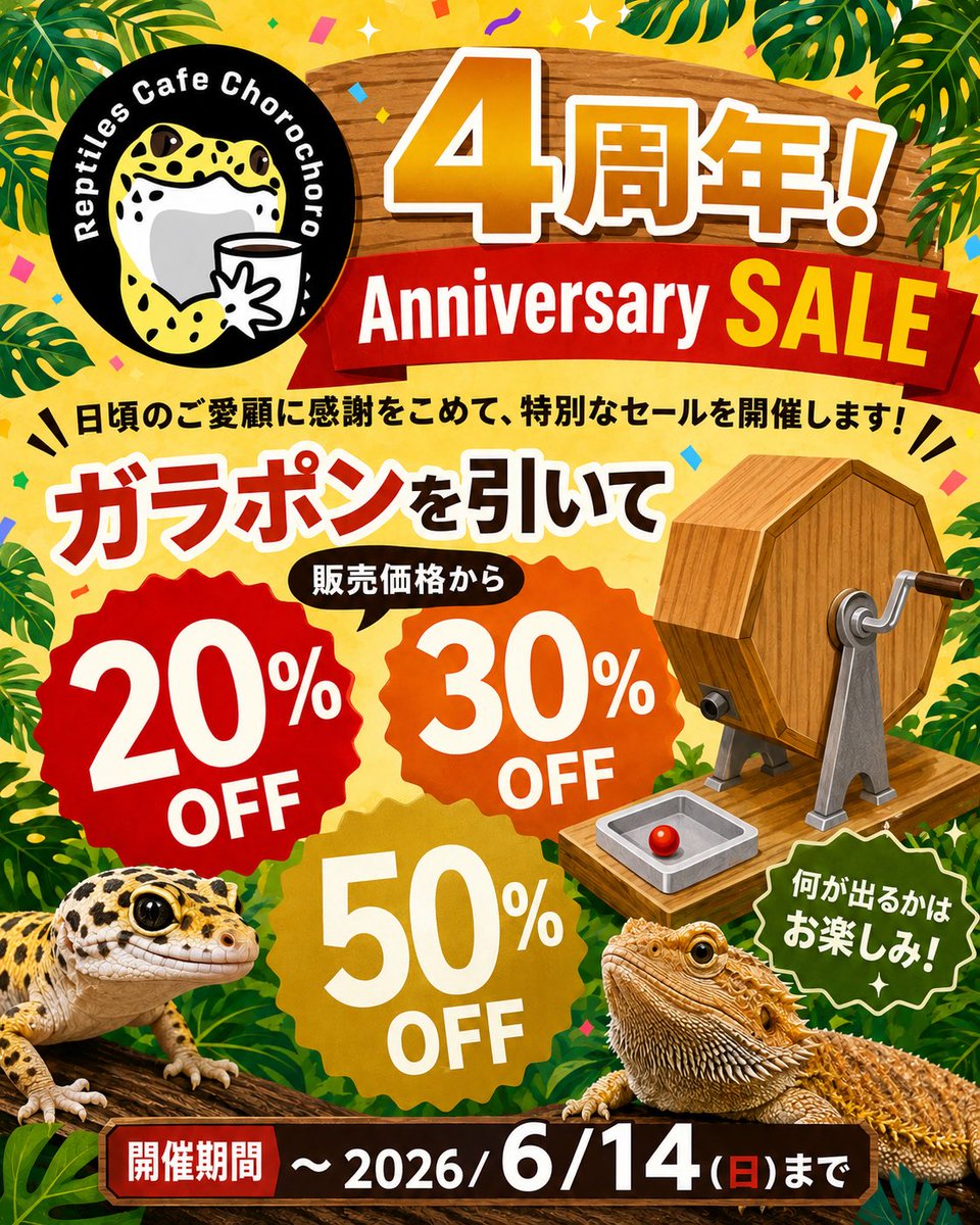 cafe_chorochoro's tweet photo. 皆さまのおかげでちょろちょろは先日4周年を迎えることができました😆
本当にありがとうございます🙇‍♀️

遅くなりましたが感謝の気持ちを込めて明日から4周年記念セールを開催します‼️

購入時にガラポンを回して販売価格から20%OFF・30%OFF・50%OFFのいずれかが当たります🎉

期間は6/14(日)まで❗️

九レプ前に輸入した生体たちももちろん対象です🙆‍♀️
クオリティの高いブラックナイトタイプや可愛いちびちび赤ちゃんなど200匹ほど入荷してます🤩

ぜひ遊びに来てください❗️
可愛い爬虫類たちと一緒にお待ちしております☺️

#ちょろちょろ #爬虫類カフェ #爬虫類 #北九州 #小倉